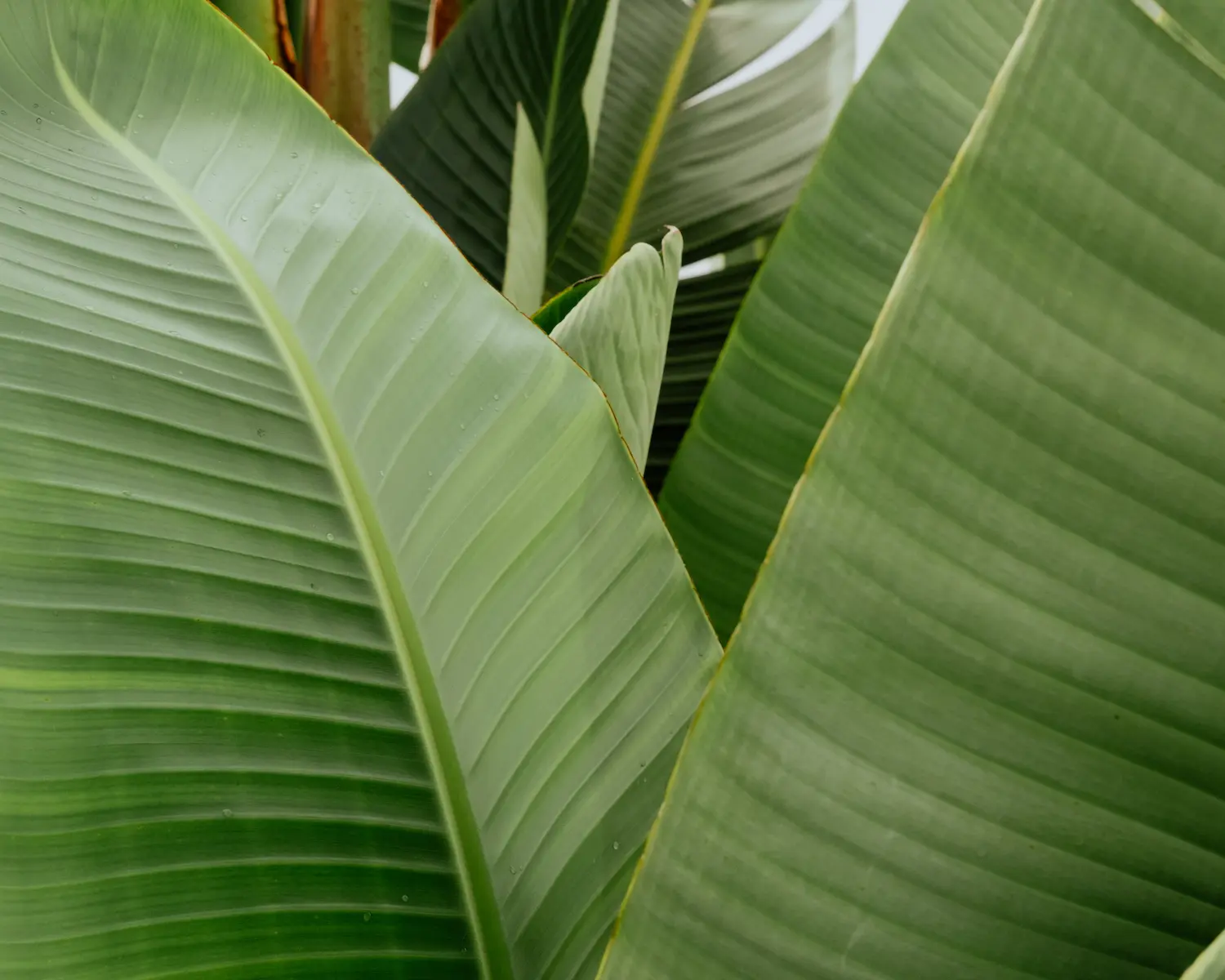 SUSTENTABILIDADE